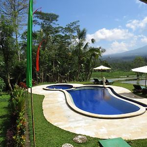 Superior Triple Garden View